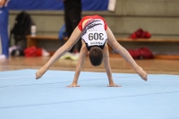 Thumbnail - JT III - Matvey Fokin - Artistic Gymnastics - 2022 - egWohnen JuniorsTrophy - Participants - Germany 02051_05011.jpg