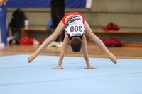 Thumbnail - JT III - Matvey Fokin - Ginnastica Artistica - 2022 - egWohnen JuniorsTrophy - Participants - Germany 02051_05011.jpg