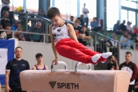 Thumbnail - JT III - Matvey Fokin - Gymnastique Artistique - 2022 - egWohnen JuniorsTrophy - Participants - Germany 02051_05091.jpg
