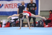Thumbnail - Germany - Gymnastique Artistique - 2022 - egWohnen JuniorsTrophy - Participants 02051_05150.jpg