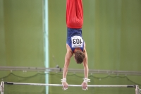 Thumbnail - JT I - Alexander Niscoveanu - Gymnastique Artistique - 2022 - egWohnen JuniorsTrophy - Participants - Great Britain 02051_05493.jpg