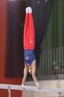 Thumbnail - JT III - Jude Irons - Artistic Gymnastics - 2022 - egWohnen JuniorsTrophy - Participants - Great Britain 02051_06854.jpg