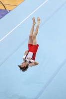 Thumbnail - JT I - Reinis Zilko - Artistic Gymnastics - 2022 - egWohnen JuniorsTrophy - Participants - Lettland 02051_08465.jpg