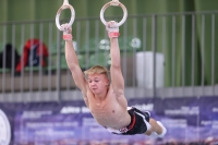 Thumbnail - JT II - Roberts Demidovics - Спортивная гимнастика - 2022 - egWohnen JuniorsTrophy - Participants - Lettland 02051_08625.jpg