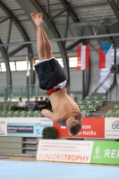 Thumbnail - JT II - Roberts Demidovics - Спортивная гимнастика - 2022 - egWohnen JuniorsTrophy - Participants - Lettland 02051_08634.jpg