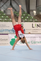 Thumbnail - JT II - Roberts Demidovics - Gymnastique Artistique - 2022 - egWohnen JuniorsTrophy - Participants - Lettland 02051_08648.jpg