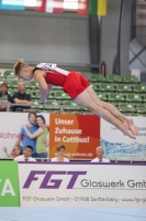 Thumbnail - JT II - Roberts Demidovics - Спортивная гимнастика - 2022 - egWohnen JuniorsTrophy - Participants - Lettland 02051_08649.jpg