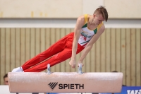 Thumbnail - JT I - Kristijonas Padegimas - Gymnastique Artistique - 2022 - egWohnen JuniorsTrophy - Participants - Litauen 02051_09275.jpg