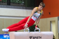 Thumbnail - Litauen - Artistic Gymnastics - 2022 - egWohnen JuniorsTrophy - Participants 02051_09318.jpg