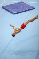 Thumbnail - JT I - Mantas Ramanciukas - Artistic Gymnastics - 2022 - egWohnen JuniorsTrophy - Participants - Litauen 02051_09367.jpg