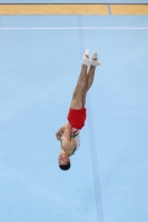 Thumbnail - JT I - Matas Imbrasas - Artistic Gymnastics - 2022 - egWohnen JuniorsTrophy - Participants - Litauen 02051_09485.jpg
