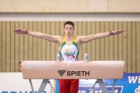 Thumbnail - JT I - Matas Imbrasas - Artistic Gymnastics - 2022 - egWohnen JuniorsTrophy - Participants - Litauen 02051_09524.jpg