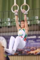 Thumbnail - Litauen - Gymnastique Artistique - 2022 - egWohnen JuniorsTrophy - Participants 02051_10471.jpg