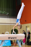 Thumbnail - Litauen - Artistic Gymnastics - 2022 - egWohnen JuniorsTrophy - Participants 02051_10643.jpg