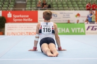 Thumbnail - JT I - Herman Stray Sorensen - Спортивная гимнастика - 2022 - egWohnen JuniorsTrophy - Participants - Norwegen 02051_10955.jpg