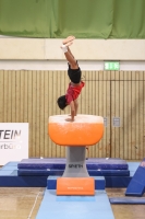 Thumbnail - JT III - Luca Hagen - Gymnastique Artistique - 2022 - egWohnen JuniorsTrophy - Participants - Österreich 02051_12067.jpg