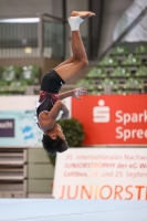 Thumbnail - JT III - Luca Hagen - Artistic Gymnastics - 2022 - egWohnen JuniorsTrophy - Participants - Österreich 02051_12199.jpg
