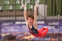 Thumbnail - Österreich - Artistic Gymnastics - 2022 - egWohnen JuniorsTrophy - Participants 02051_12416.jpg