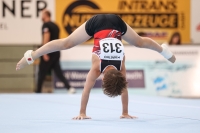 Thumbnail - Österreich - Gymnastique Artistique - 2022 - egWohnen JuniorsTrophy - Participants 02051_12449.jpg