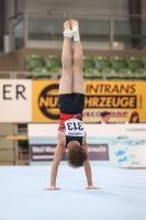 Thumbnail - JT III - Samuel Wachter - Gymnastique Artistique - 2022 - egWohnen JuniorsTrophy - Participants - Österreich 02051_12450.jpg