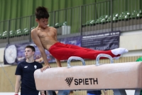 Thumbnail - Polen - Gymnastique Artistique - 2022 - egWohnen JuniorsTrophy - Participants 02051_12613.jpg