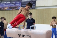 Thumbnail - Polen - Gymnastique Artistique - 2022 - egWohnen JuniorsTrophy - Participants 02051_12624.jpg