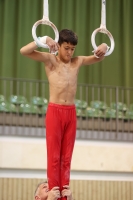 Thumbnail - JT II - Tomasz Le Khac - Gymnastique Artistique - 2022 - egWohnen JuniorsTrophy - Participants - Polen 02051_12657.jpg