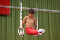 Thumbnail - Polen - Artistic Gymnastics - 2022 - egWohnen JuniorsTrophy - Participants 02051_12661.jpg