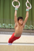 Thumbnail - Polen - Artistic Gymnastics - 2022 - egWohnen JuniorsTrophy - Participants 02051_12666.jpg