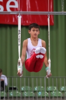 Thumbnail - JT II - Tomasz Le Khac - Artistic Gymnastics - 2022 - egWohnen JuniorsTrophy - Participants - Polen 02051_12675.jpg