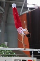 Thumbnail - JT II - Tomasz Le Khac - Artistic Gymnastics - 2022 - egWohnen JuniorsTrophy - Participants - Polen 02051_12684.jpg