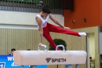 Thumbnail - Polen - Artistic Gymnastics - 2022 - egWohnen JuniorsTrophy - Participants 02051_12696.jpg