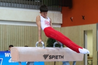 Thumbnail - JT II - Tomasz Le Khac - Artistic Gymnastics - 2022 - egWohnen JuniorsTrophy - Participants - Polen 02051_12703.jpg