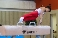Thumbnail - JT II - Tomasz Le Khac - Artistic Gymnastics - 2022 - egWohnen JuniorsTrophy - Participants - Polen 02051_12709.jpg