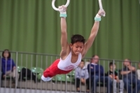 Thumbnail - Polen - Artistic Gymnastics - 2022 - egWohnen JuniorsTrophy - Participants 02051_12822.jpg