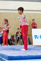 Thumbnail - Polen - Artistic Gymnastics - 2022 - egWohnen JuniorsTrophy - Participants 02051_12825.jpg