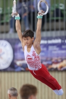 Thumbnail - Polen - Gymnastique Artistique - 2022 - egWohnen JuniorsTrophy - Participants 02051_12851.jpg