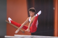 Thumbnail - Polen - Gymnastique Artistique - 2022 - egWohnen JuniorsTrophy - Participants 02051_12860.jpg
