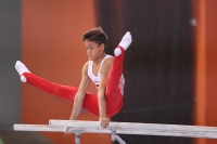 Thumbnail - Polen - Gymnastique Artistique - 2022 - egWohnen JuniorsTrophy - Participants 02051_12861.jpg