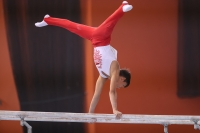 Thumbnail - Polen - Gymnastique Artistique - 2022 - egWohnen JuniorsTrophy - Participants 02051_12868.jpg