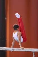 Thumbnail - Polen - Gymnastique Artistique - 2022 - egWohnen JuniorsTrophy - Participants 02051_12869.jpg