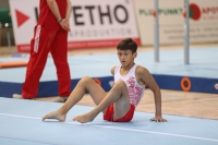 Thumbnail - Polen - Gymnastique Artistique - 2022 - egWohnen JuniorsTrophy - Participants 02051_12876.jpg