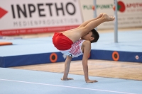 Thumbnail - Polen - Спортивная гимнастика - 2022 - egWohnen JuniorsTrophy - Participants 02051_12878.jpg