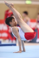 Thumbnail - Polen - Artistic Gymnastics - 2022 - egWohnen JuniorsTrophy - Participants 02051_12881.jpg