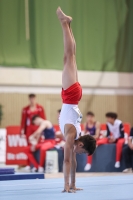 Thumbnail - Polen - Artistic Gymnastics - 2022 - egWohnen JuniorsTrophy - Participants 02051_12882.jpg