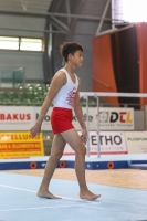 Thumbnail - Polen - Artistic Gymnastics - 2022 - egWohnen JuniorsTrophy - Participants 02051_12899.jpg