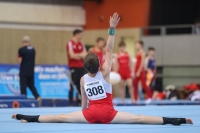 Thumbnail - JT III - Matej Pazdirek - Спортивная гимнастика - 2022 - egWohnen JuniorsTrophy - Participants - Tschechien 02051_15167.jpg