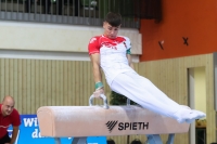 Thumbnail - JT I - Balazs Juhasz - Спортивная гимнастика - 2022 - egWohnen JuniorsTrophy - Participants - Ungarn 02051_15466.jpg