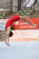 Thumbnail - 2022 - egWohnen JuniorsTrophy - Artistic Gymnastics 02051_16076.jpg