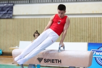 Thumbnail - JT III - Peter Sarosi - Gymnastique Artistique - 2022 - egWohnen JuniorsTrophy - Participants - Ungarn 02051_16288.jpg